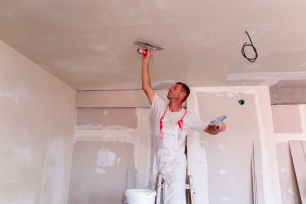 Best Ceiling Drywall Installation  in El Sobrante, CA